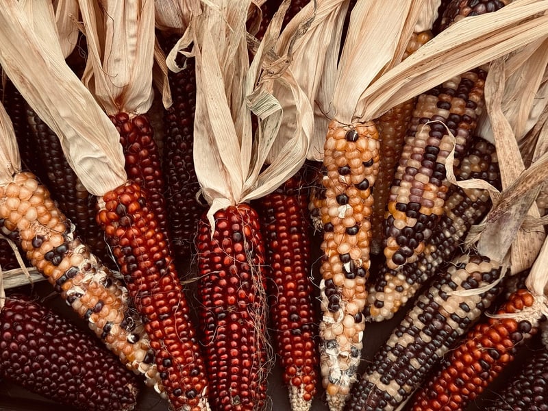 Locally sourced produce